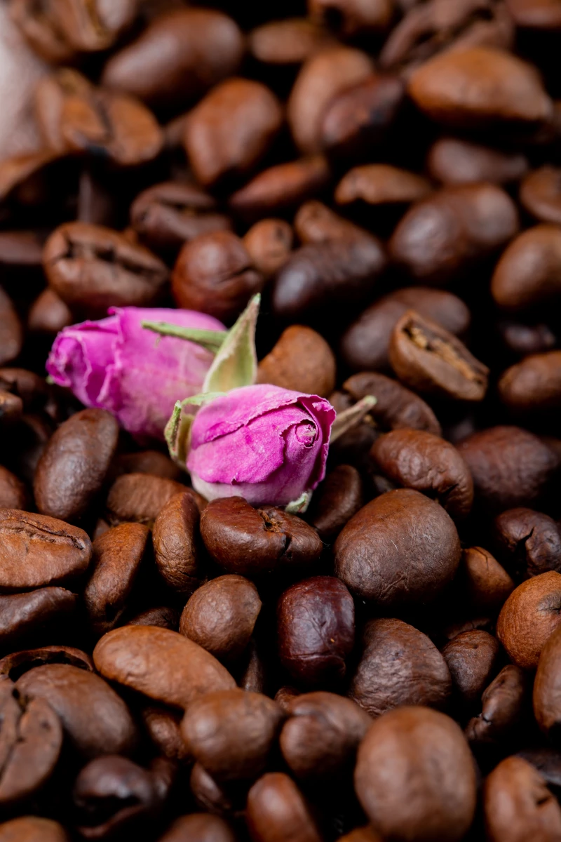 Formation Cacao & Rose